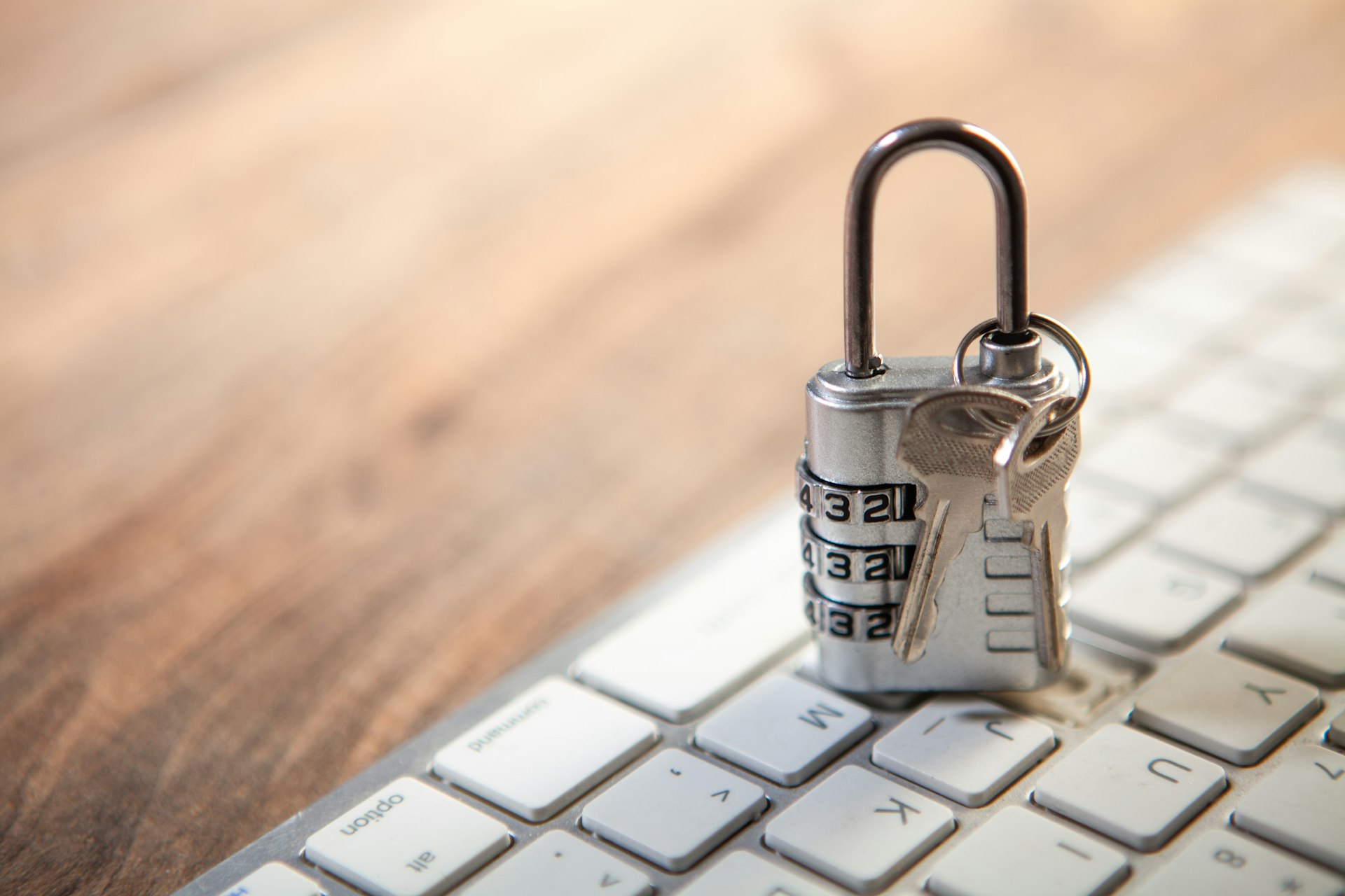 photo-3-wta-privacy-padlock